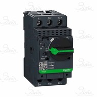    10 GV2P14 Schneider Electric